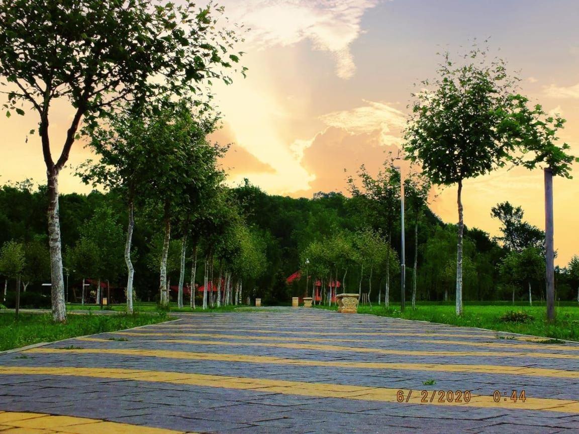 Illara Spa Hotel Иршава Экстерьер фото