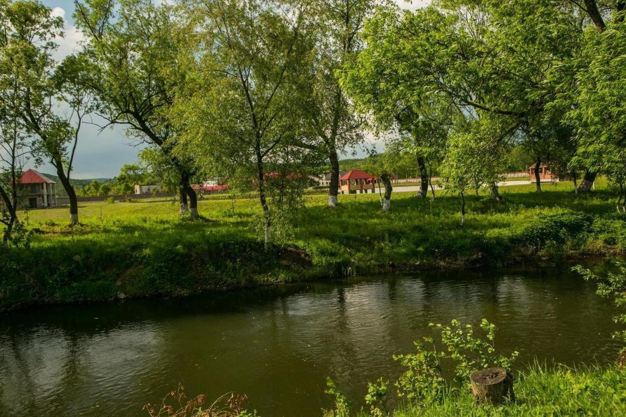 Illara Spa Hotel Иршава Экстерьер фото