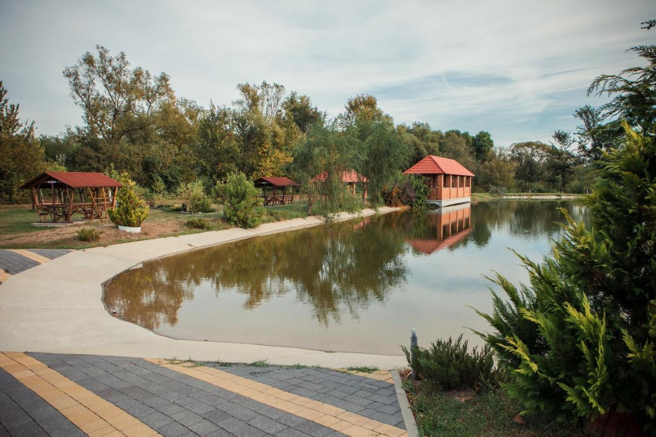 Illara Spa Hotel Иршава Экстерьер фото